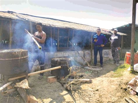 Alipurduar: Majherdabri Tea Garden adopts herbal pesticides