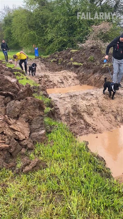 Logging Tree Fails Compilation 的图像结果