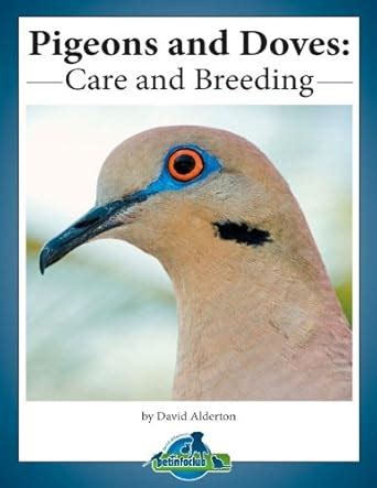 Pigeons and Doves: care and breeding (Practical Bird Care Book 1) eBook ...