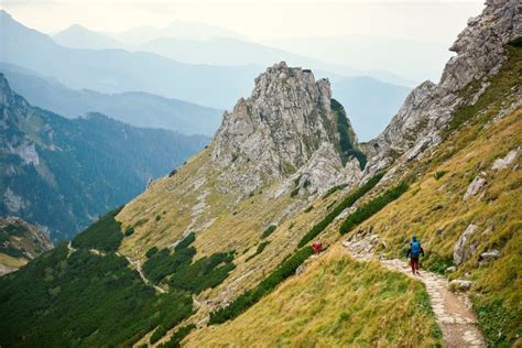 Image result for Two Tree Hiking
