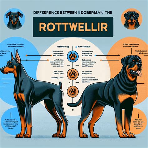 Dóberman vs Rottweiler: Descubre las Principales Diferencias entre ...
