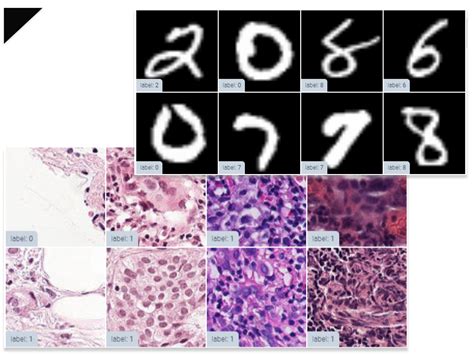 MNIST Dataset 的图像结果