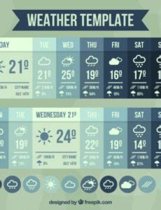 Local Weather Report Document 的图像结果