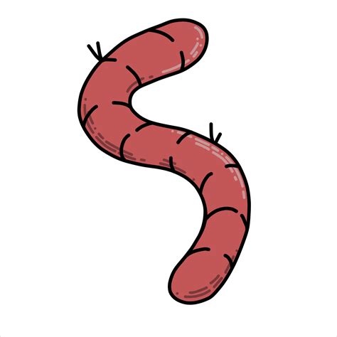 Earthworm Drawing