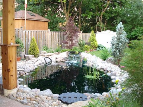 Butterfly Spanish Tutorial 的图像结果