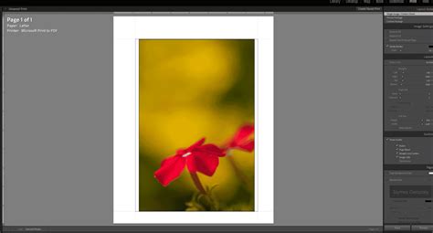 Image result for Color Management for Photographers