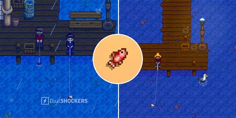 Stardew Valley: How To Catch A Red Snapper