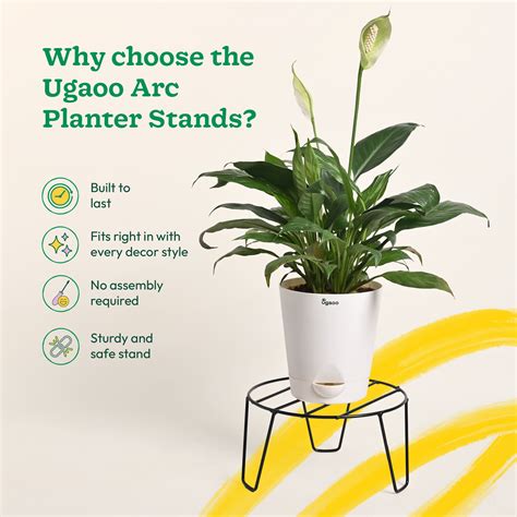 Buy Arc Round Metal Plant Stand Online | Elegant & Durable Design | Ugaoo