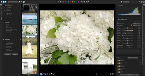 Image result for Corel AfterShot Tutorial