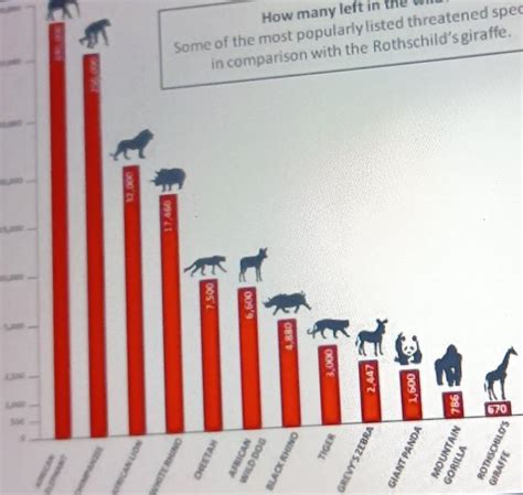 Show the pictorial graph of endangered extinct and endangered species ...