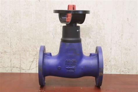 Gate valve with flanged connection from ARI - JL1040 DN80 PN16 32634 in ...