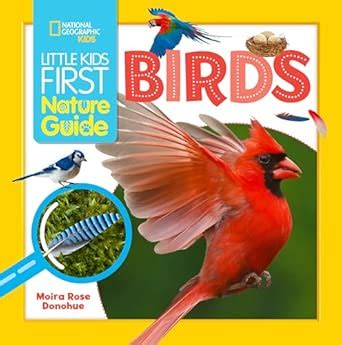 Little Kids First Nature Guide Birds : Donohue, Moira Rose: Amazon.in ...
