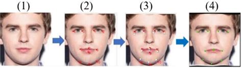 Image result for Warping Face Python
