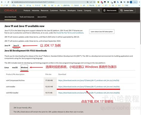 Java JDK 17 Tutorial 的图像结果