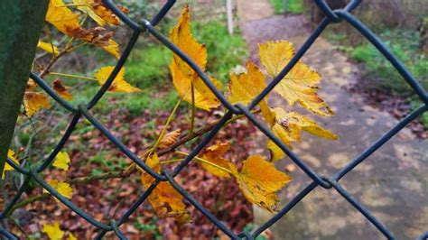 Das Innenhof-Quadrat – enjoying the postapocalypse