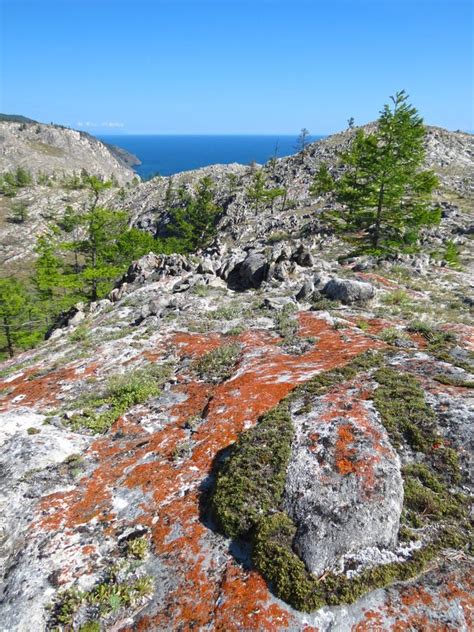 Утес около моря в Крыме стоковое фото. изображение насчитывающей утес ...