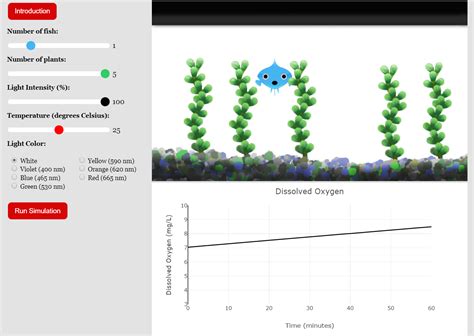 Cell Simulation 的图像结果