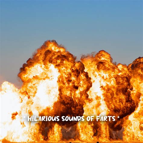 Fart Sound Effect Meme 的图像结果