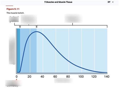 Image result for Myogram Labeled