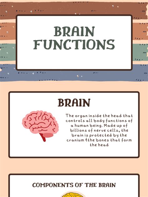 Brain Function Explanation 的图像结果