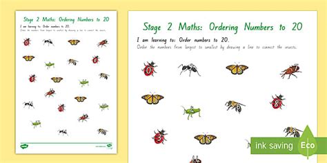New Zealand Maths Stage 2 Ordering Numbers to 20 Insects Worksheet