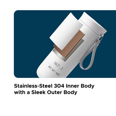 SteamCarry Pro Portable Electric Kettle, 400ml – Salt