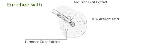 Earth Rhythm 10% Azelaic Acid Brightening Serum for Pigmentation ...