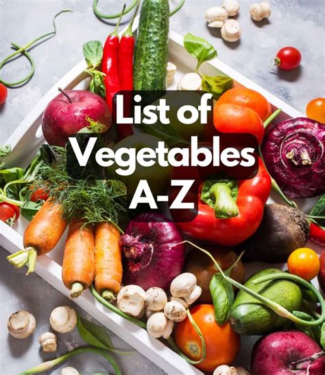 Alphabetical List Of Vegetables Different Types Watermelon Vector