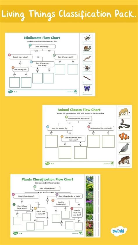 Image result for Classification Key Living Things