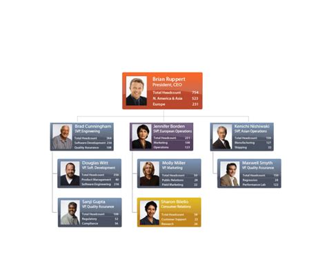 Image result for OrgPlus Org Chart