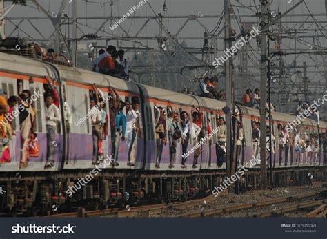 Train Full Local 的图像结果