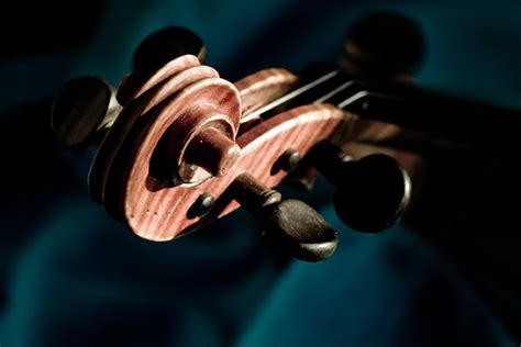 Image result for Beautiful Musical Instruments