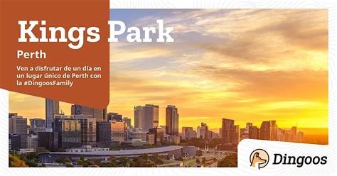 Dingoos Kings Park y Jardin Bótanico + Blue Boat House - Perth, Kings ...