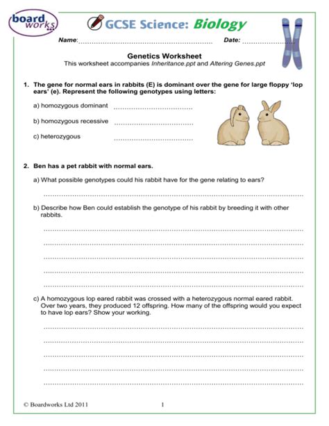 Genetics and Inheritance Worksheet 的图像结果