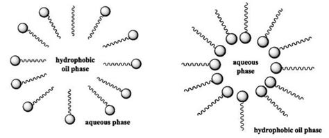 FOAMING OR ALGAL BLOOM IN WATER BODIES OF INDIA: REMEDIAL MEASURES ...