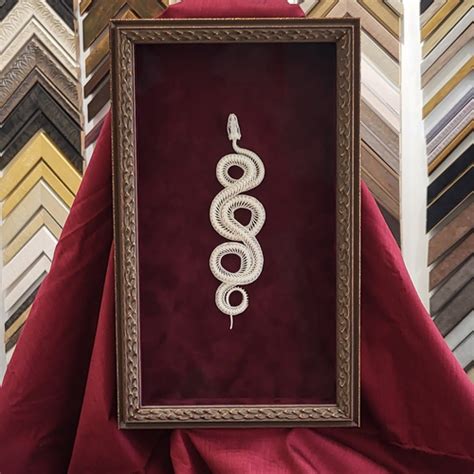 Image result for Python Skeleton