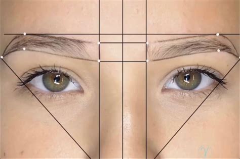Image result for Microblading Mapping
