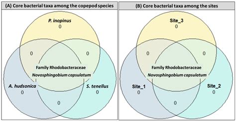Application of Next-Generation Sequencing for the Determination of the ...