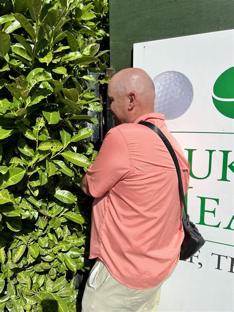 Image result for Goose Flying Over Taskmaster House