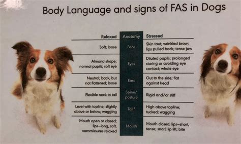 Eyes Dilated Meaning In Marathi at Roy Gilbertson blog