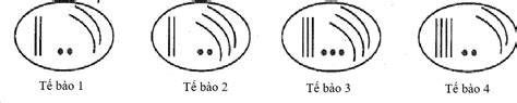 Image result for Test Driven Development Anti-Patterns Chain Gangs Example