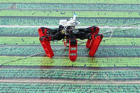 How ants help a robot to navigate without GPS