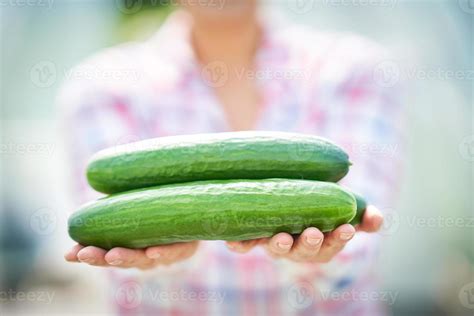 Image result for Chick Using Cucumber