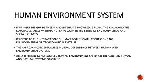 Image result for Human Coupling Position