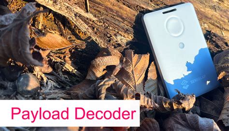 SenseCAP T1000 Payload Decoder