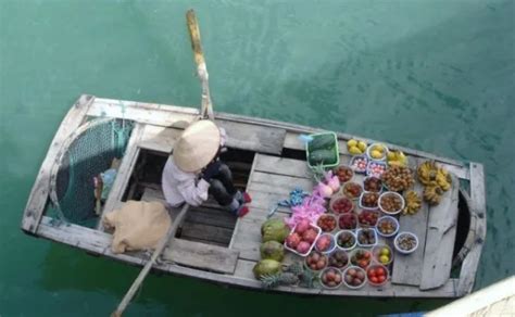 Examples PF Local Development 的图像结果