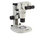 Understanding Microscopes and Objectives | Edmund Optics