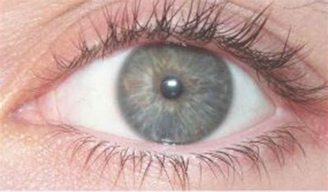 Why do men have nipples? Expert explains little-known facts about our ...