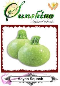 SUNSHINE AAYAN SQUASH SEEDS PACK OF 225 SEED Seed Price in India - Buy ...