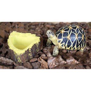 Reptile Bowl Food Water Dish Bearded Dragon Gecko Morio Meal Worm ...
